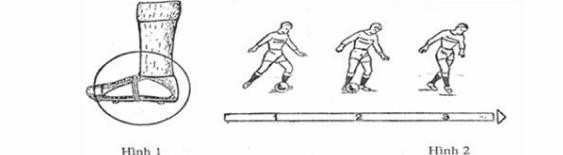 Kỹ thuật đá bóng bằng lòng bàn chân là một trong những kỹ năng cơ bản của bóng đá, giúp người chơi tăng tính linh hoạt và chính xác trong tấn công. Nó bao gồm việc sử dụng lòng bàn chân để điều khiển và chuyền bóng, đòi hỏi sự tập trung và tập luyện thường xuyên.